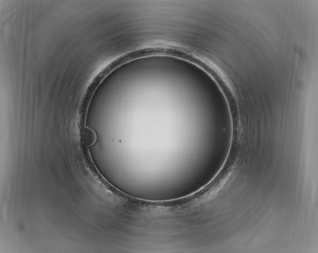 X0000112540783200908171441