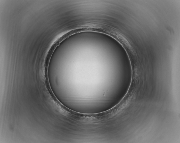 X0000112540784200908171441