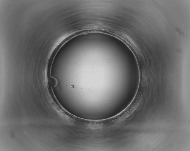 X0000112540788200908171441