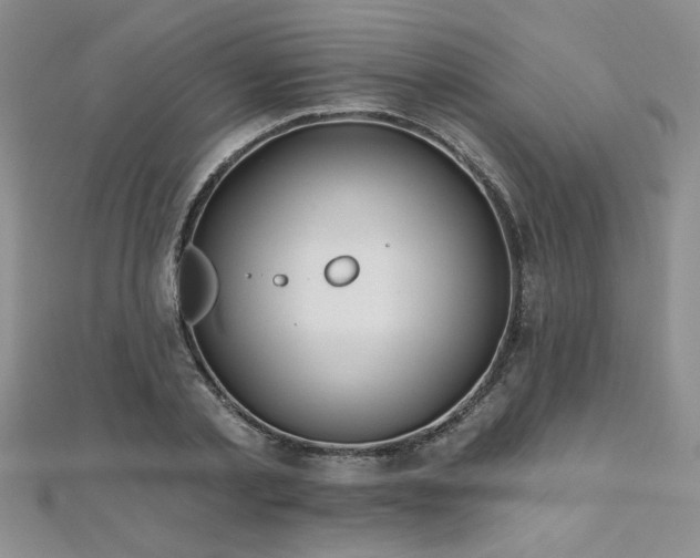 X0000112540789200908171441