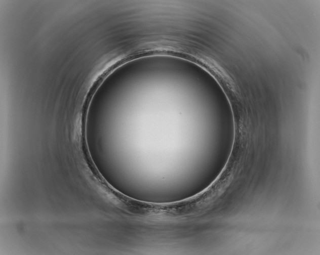 X0000112540790200908171441