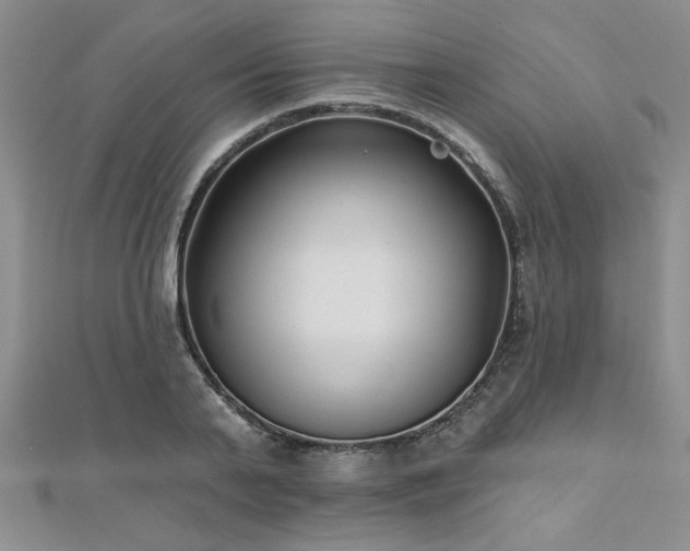 X0000112540791200908171441