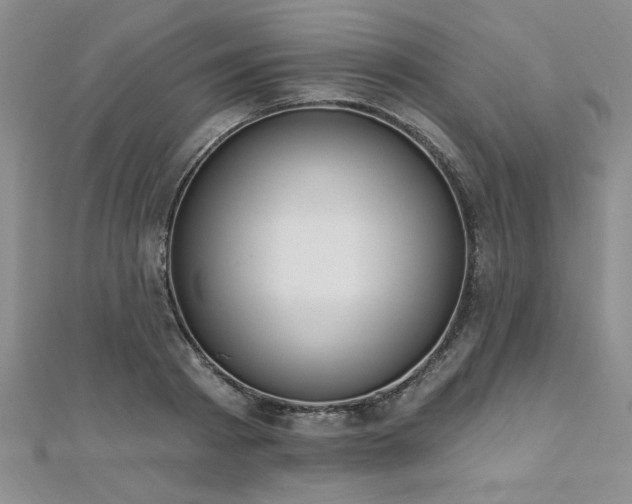 X0000112540793200908171441