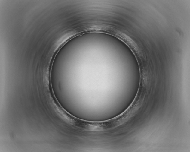 X0000112540794200908171441
