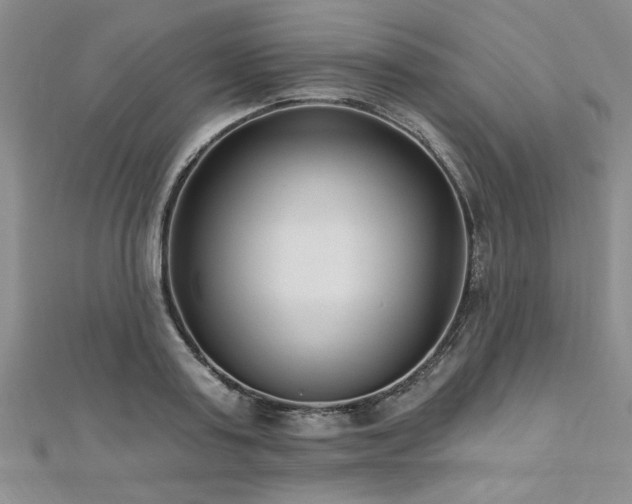 X0000112540795200908171441