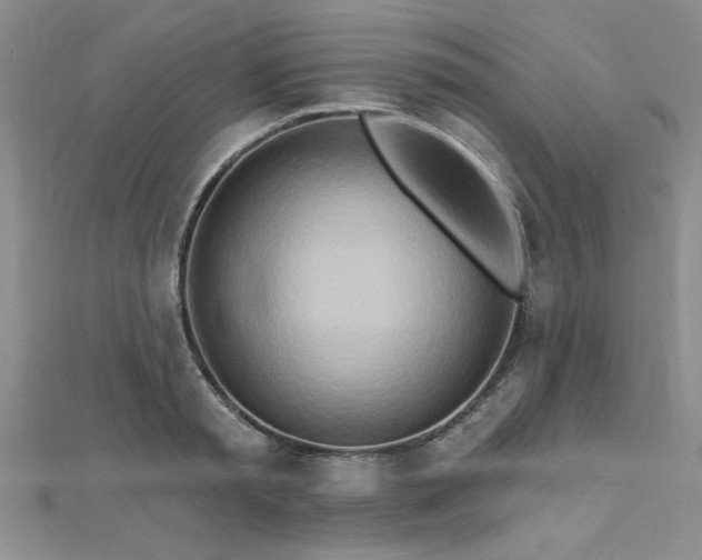 X0000112540797200908171441