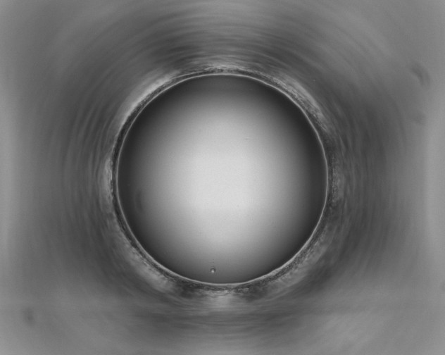 X0000112540798200908171441