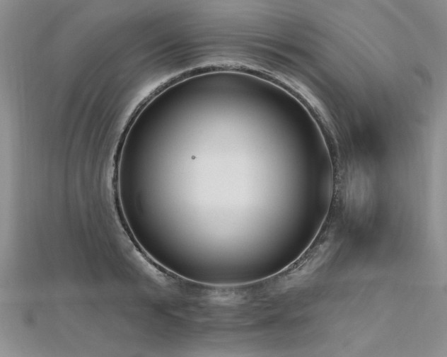 X0000112540799200908171441