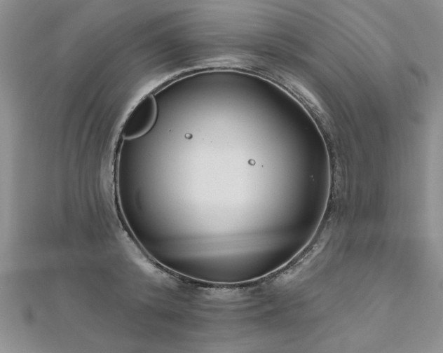 X0000112540800200908171441