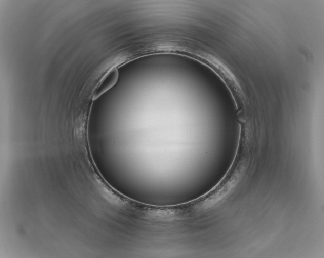 X0000112540801200908171441