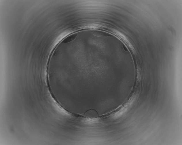 X0000112540802200908171441