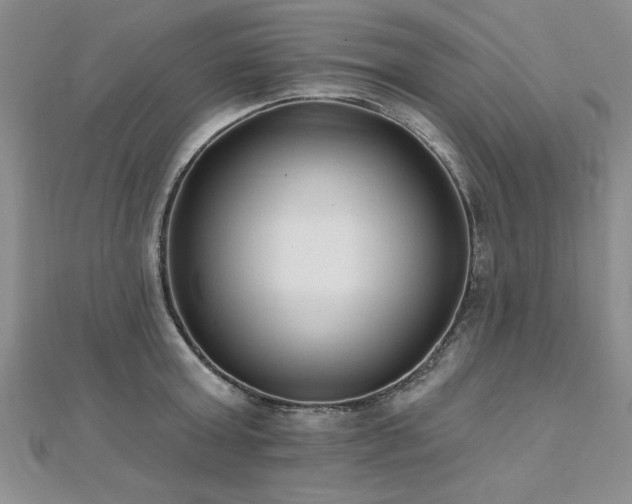 X0000112540803200908171441