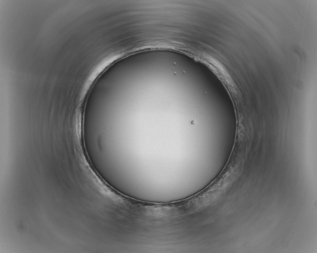 X0000112540804200908171441