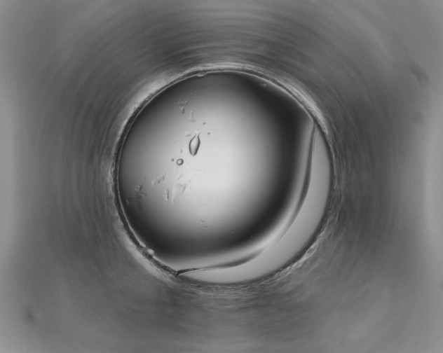 X0000112540805200908171441
