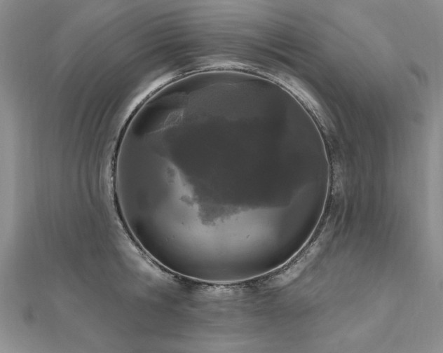 X0000112540806200908171441