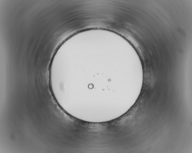 X0000112540807200908171441