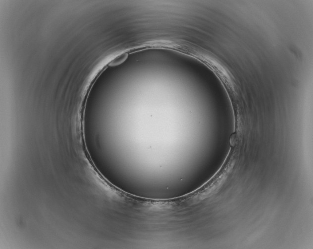 X0000112540808200908171441