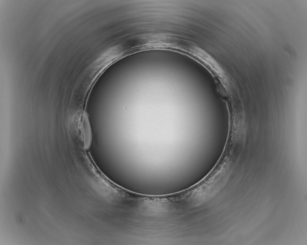 X0000112540809200908171441