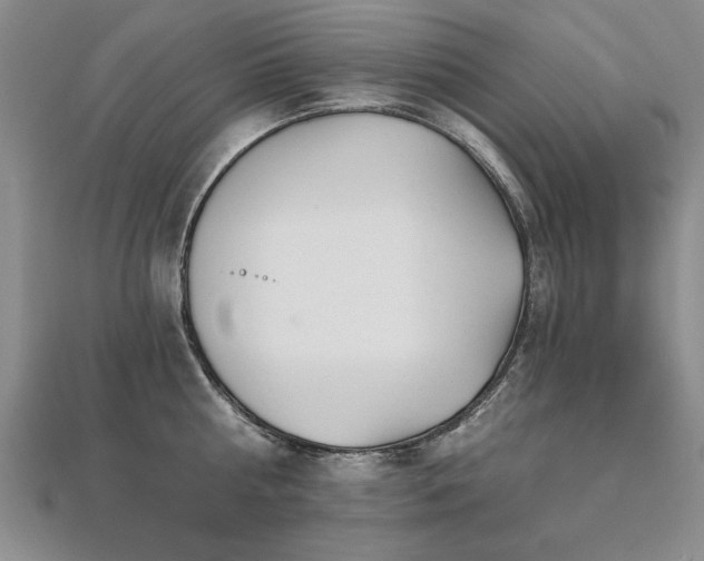 X0000112540810200908171441
