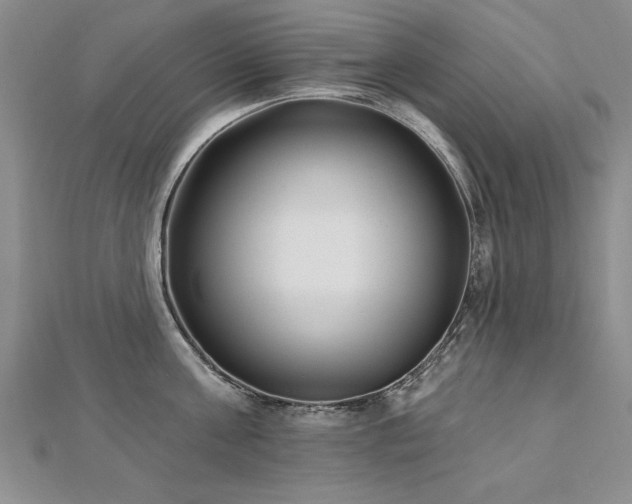 X0000112540811200908171441
