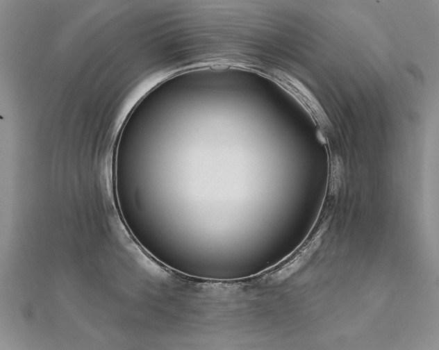 X0000112540812200908171441