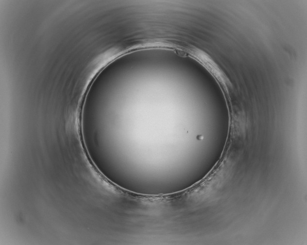 X0000112540813200908171441
