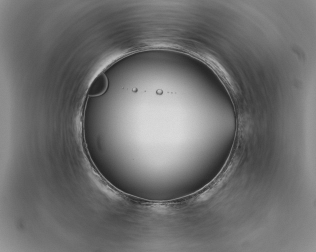 X0000112540814200908171441