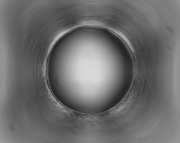X0000112540815200908171441