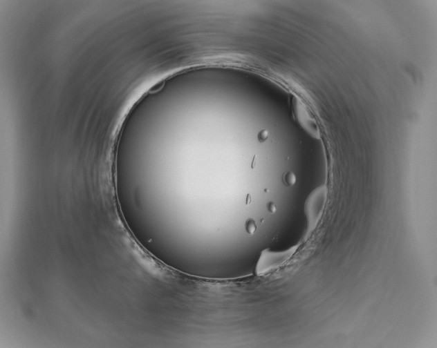 X0000112540816200908171441