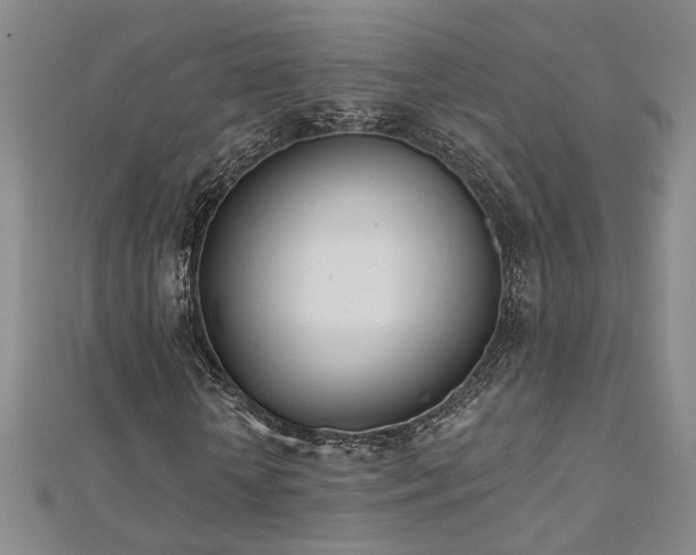 X0000112540818200908171440