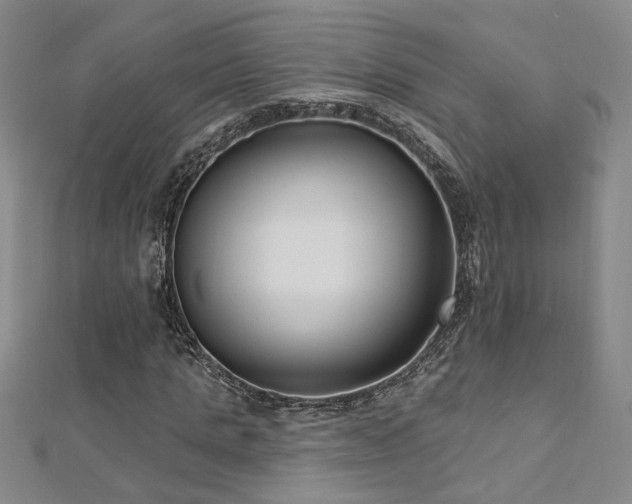X0000112540821200908171440
