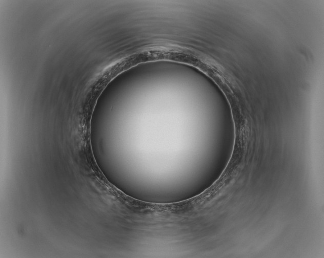 X0000112540822200908171440