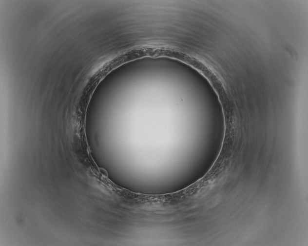X0000112540823200908171440