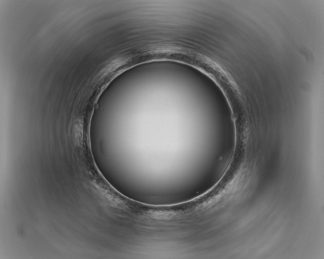 X0000112540825200908171440