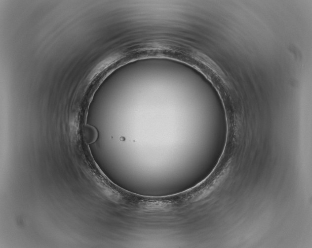 X0000112540826200908171440