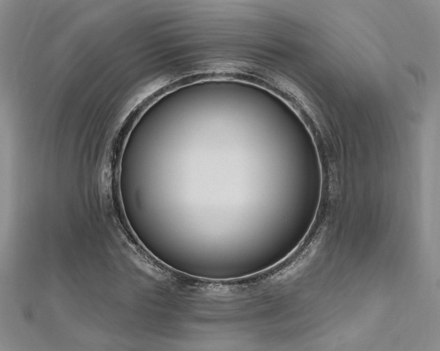 X0000112540827200908171440