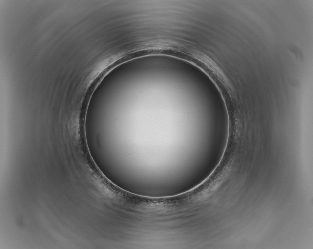 X0000112540834200908171440