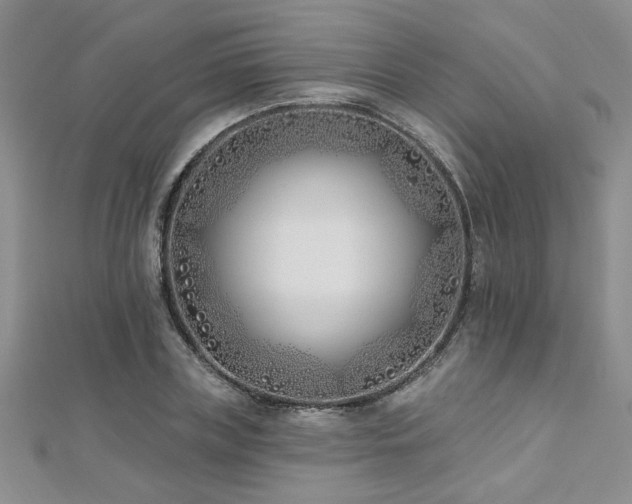 X0000112540835200908171440