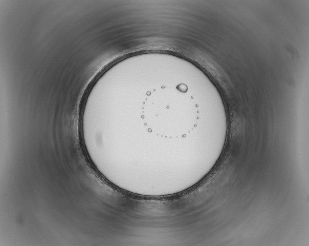 X0000112540836200908171440
