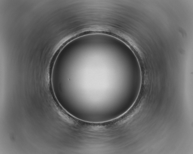X0000112540837200908171440