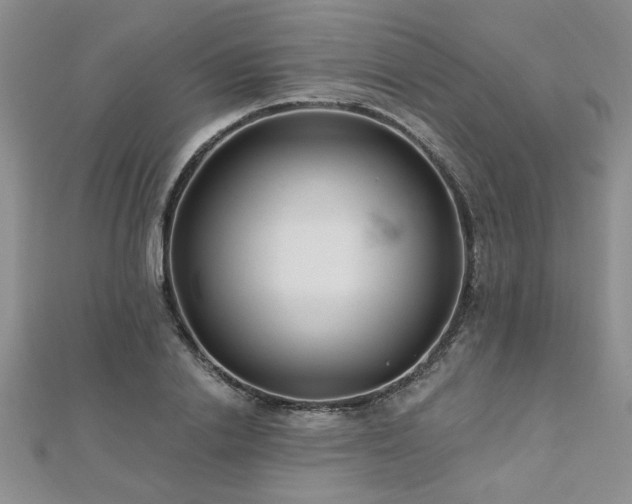 X0000112540838200908171440