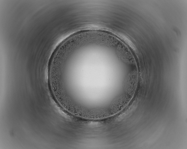 X0000112540839200908171440