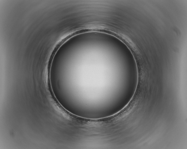 X0000112540840200908171440