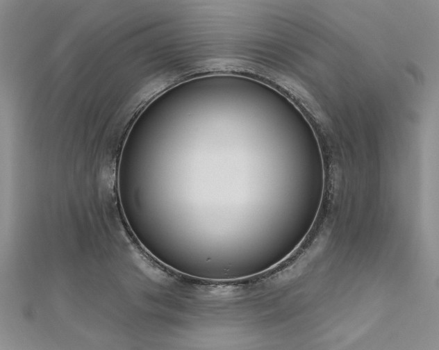 X0000112540841200908171440