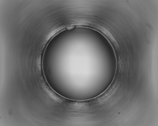 X0000112540842200908171440