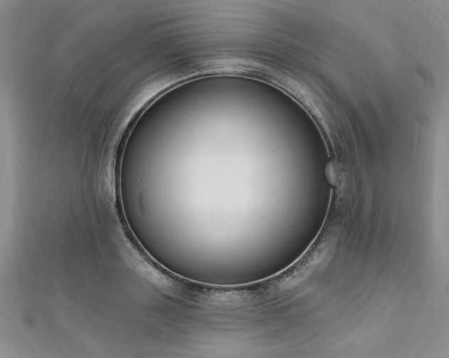 X0000112540843200908171440