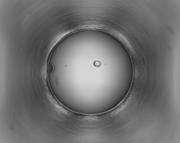 X0000112540844200908171440