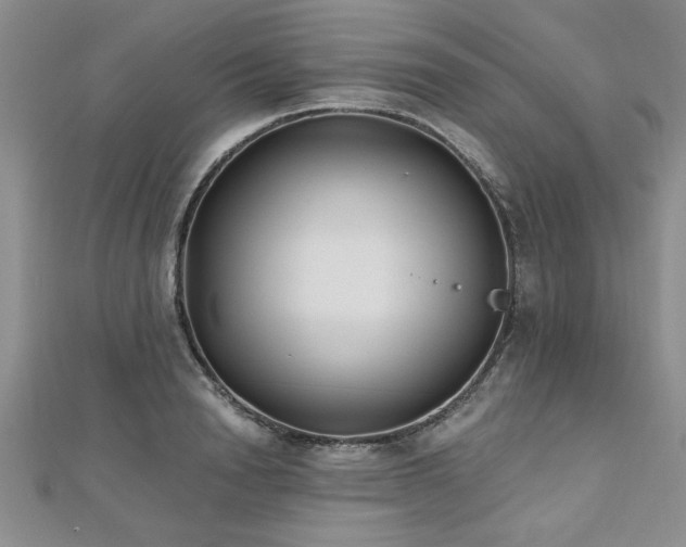 X0000112540846200908171440