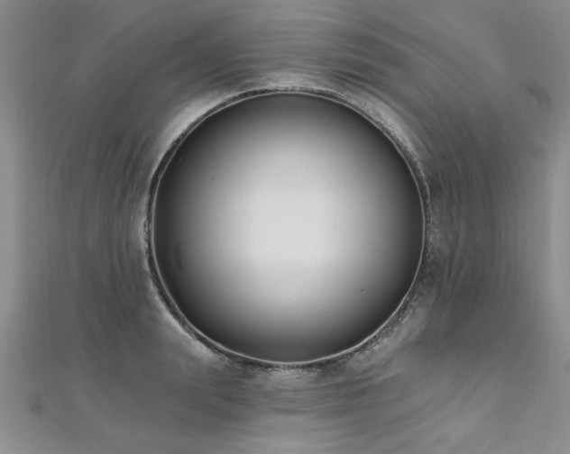 X0000112540847200908171440