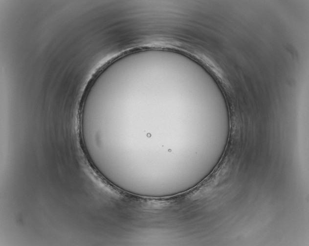 X0000112540848200908171440